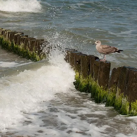 Apartament Nostalgia Lägenhet