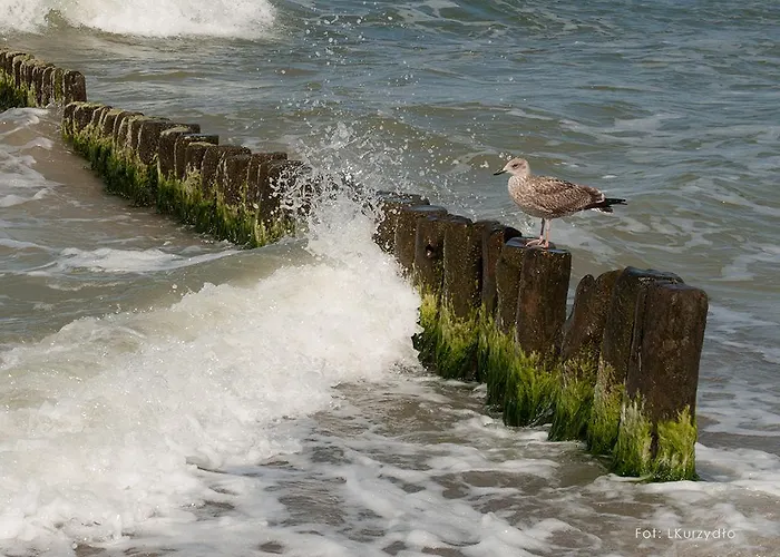 Nostalgia Apartament